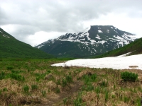 Snow in the meadow